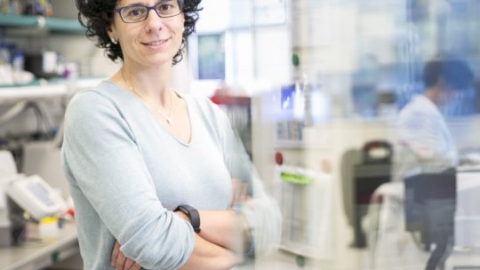 Núria López-Bigas, head of the Biomedical Genomics Lab at IRB Barcelona