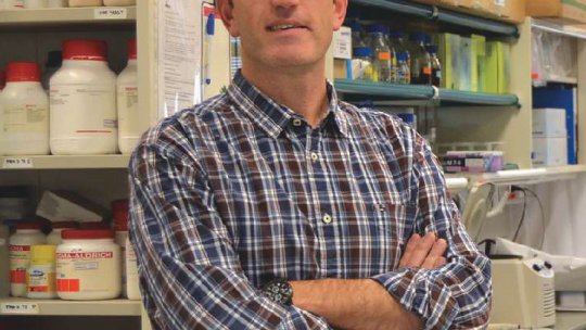 Patrick Aloy, cap de grup del Laboratori de Bioinformàtica Estructural i Biologia de Xarxes