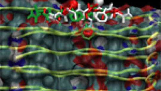 3D simulation on the interaction between a therapeutic peptide and the beta amyloid fibrils formed in Alzheimer's disease (© Ernest Giralt, IRB Barcelona)