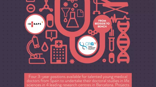 Póster del Programa "PhD for Medical Doctors"