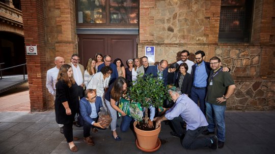 El director general de BIST, Gabby Silberman, i els directors dels centres BIST van plantar un arbre a l'entrada de la seu de BIST com gest simbòlic amb la institució que fa a les mobilitzacions mundials contra la crisi climàtica.