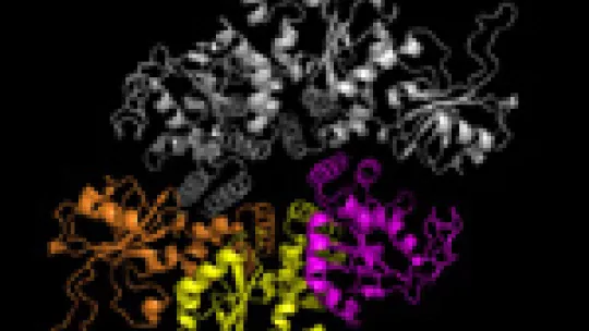 The crystal structure of the DNA replication initiator RepB unveils a ring helicase-like architecture.