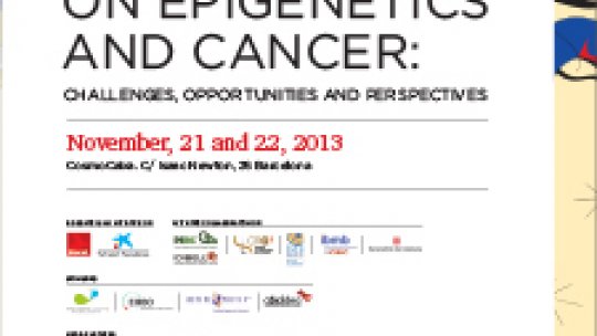 Conference poster on Epigenetics and Cancer