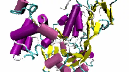 Molecular dynamics is a biocomputational tool that allows the scientists to describe the movements of all the atoms of a protein over time