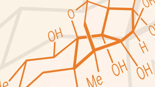 Depicted above, (+)-ryanodol is a derivate of a natural compound with intracellular calcium-regulating capacity