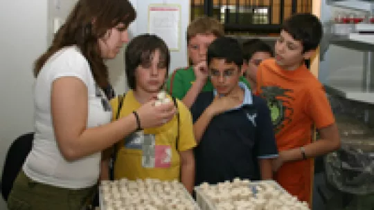  Elisabeth Castellanos amb els escolars a la Sala de Drosophila.