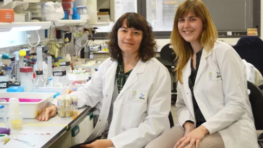 Scientists Sofia Araújo (left) and Elisenda Butí presented the results in Plos One (Photo: O. Martorell, IRB)