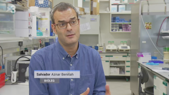 Salvador Aznar Benitah, jefe del laboratorio de Células Madre y Cáncer del IRB Barcelona