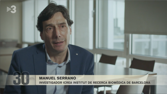 Manuel Serrano, jefe del laboratorio de Plasticidad Celular y Enfermedad del IRB Barcelona