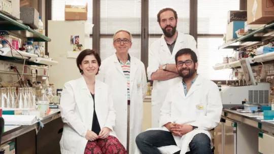 Montserrat Romero, Antonio Zorzano, David Sebastián y Juan Pablo Muñoz del laboratorio de Enfermedades Metabólicas Complejas y Mitocondrias del IRB Barcelona. Fuente: Fundación BBVA