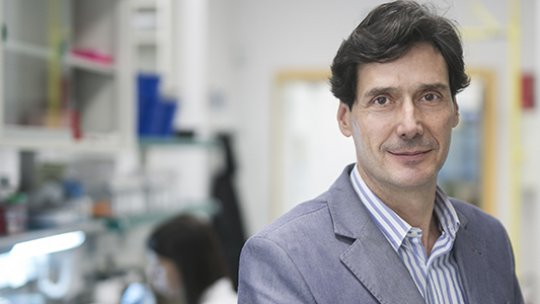 Manuel Serrano lidera el laboratori de Plasticitat Cel·lular i Malaltia