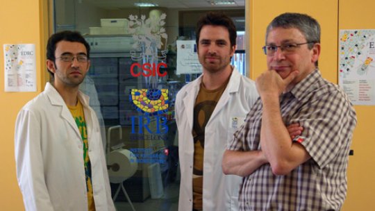 (from left to righ) Researchers Salvador Pérez-Montero, Albert Carbonell and group leader Ferran Azorín