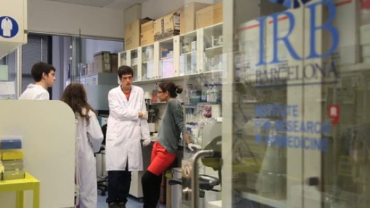 Students during a practical session on peptide research with tutor Benjamí Oller (IRB Barcelona)