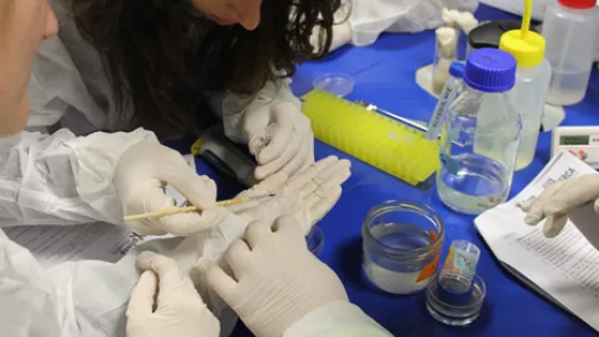 This is the eigth edition of scientific workshops Do Research!