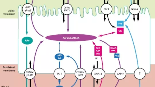 Imagen: Universidad de Barcelona
