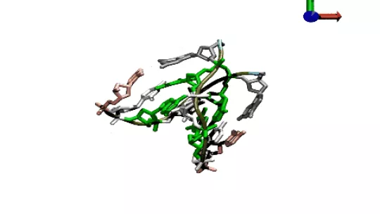 Desnaturalización del ADN cuando se agrega pirimidina en el agua (P Dans. IRB Barcelona)