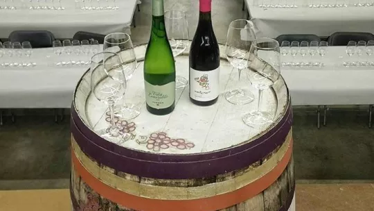 La 8a cata solidaria “Vi per Vida” se celebrará el domingo 7 de mayo en Mollerussa. 