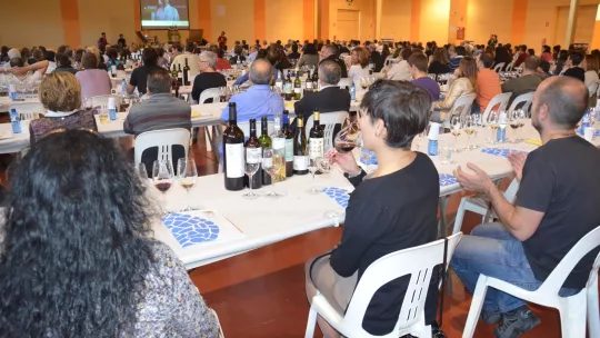 Imagen de la primera cata "Vi per Vida", realizada en Mollerussa (mayo de 2014).