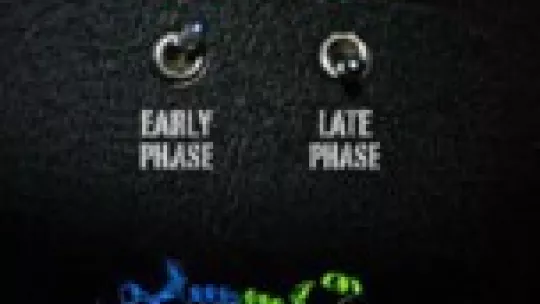 La proteína actúa como un commutador cuando se une al ADN, y regula la expresión génica del virus