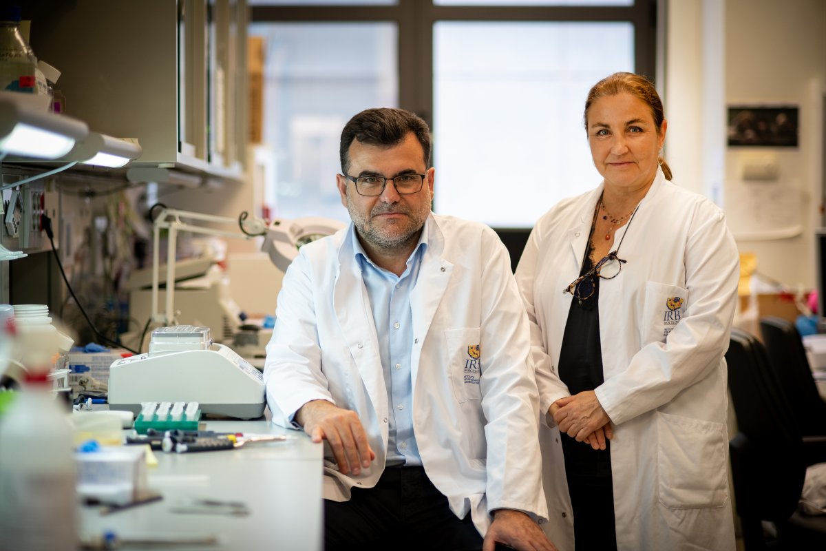 New biomarker to determine whether immunotherapy may work in people with colon and rectal cancer | IRB Barcelona