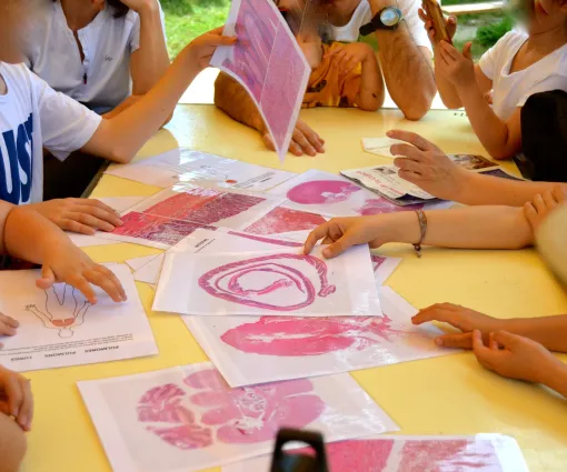 Festa de la Ciència