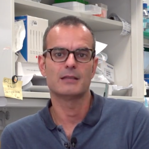 Dr. Salvador Aznar-Benitah talks about the impact of palmitic acid in metastasis