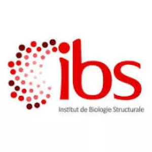 IBS