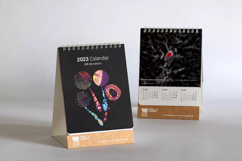 Calendar 2023 - 1